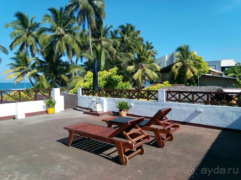 море манго или манго на море