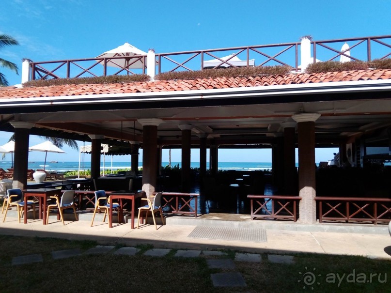 море манго или манго на море