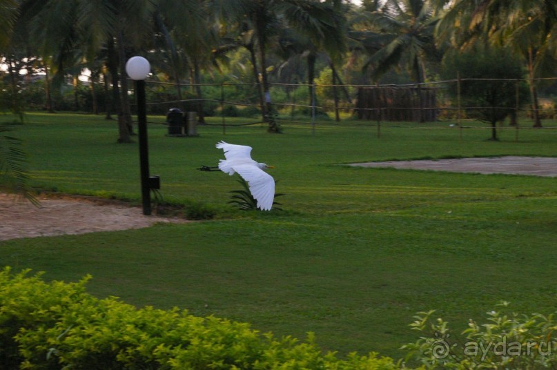 Отличный отель, смешение привычного и индийского
