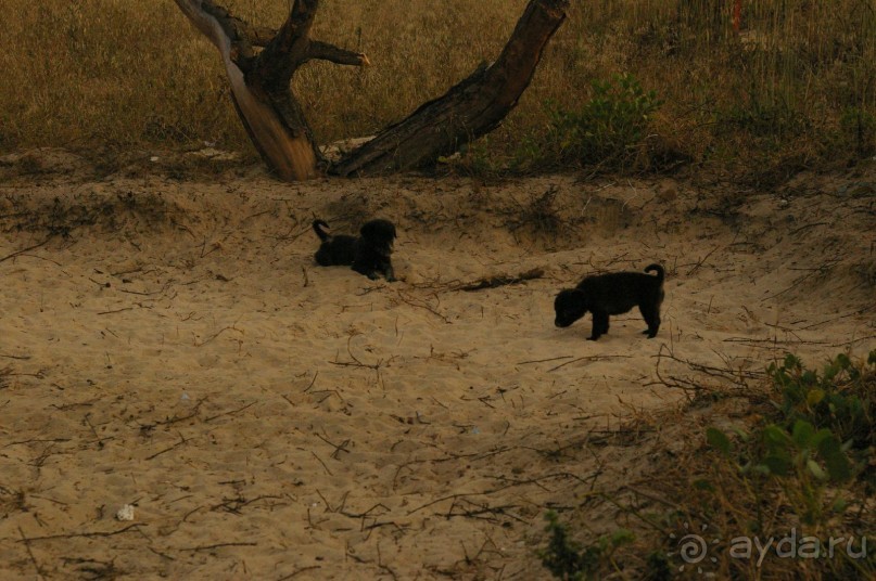 Отличный отель, смешение привычного и индийского