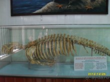 отдых Вьетнам, описания