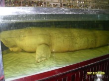 отдых Вьетнам, описания