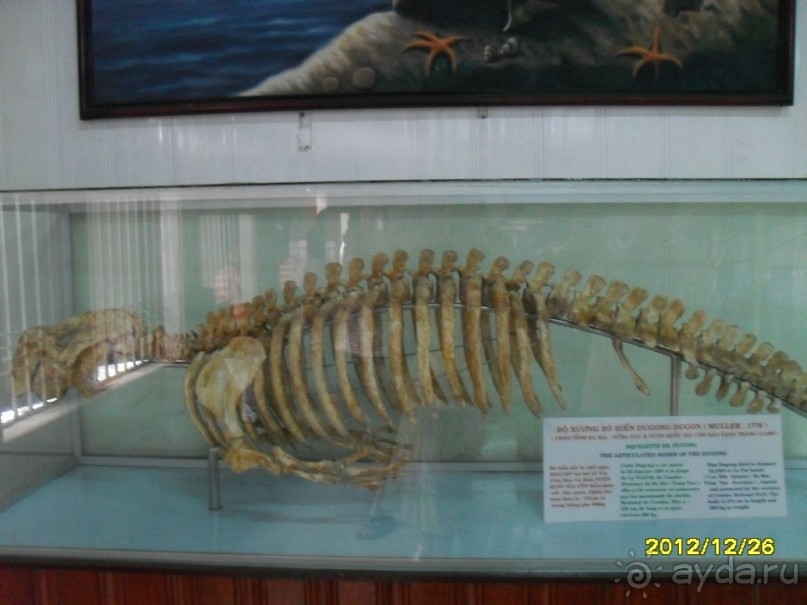 отдых Вьетнам, описания