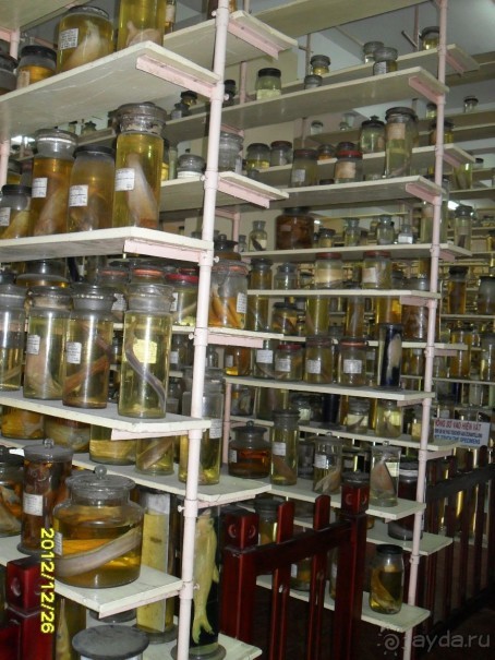 отдых Вьетнам, описания