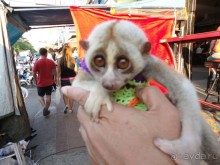 Тайланд-супер!!!!!!!!!!!!!!!!!