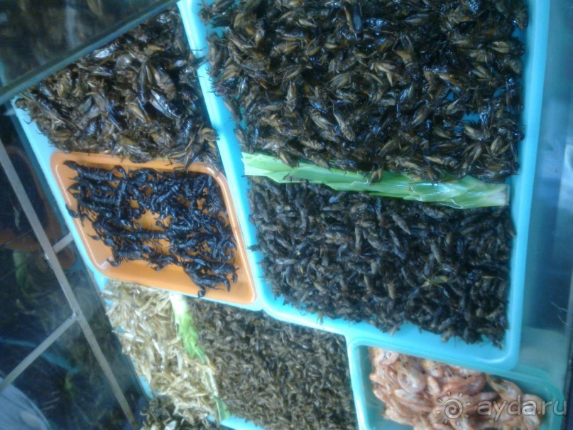 Не ешьте! Бе........!