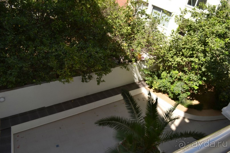 Прекрасная тройка