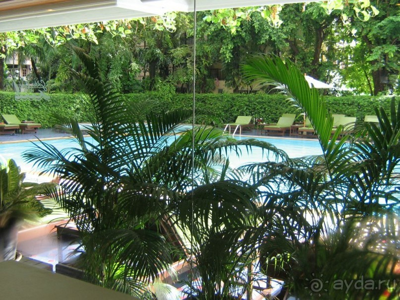 из окна ресторана