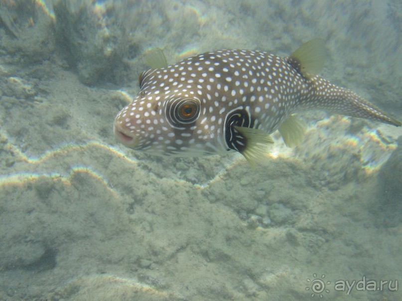 Замечательный отель для отдыха