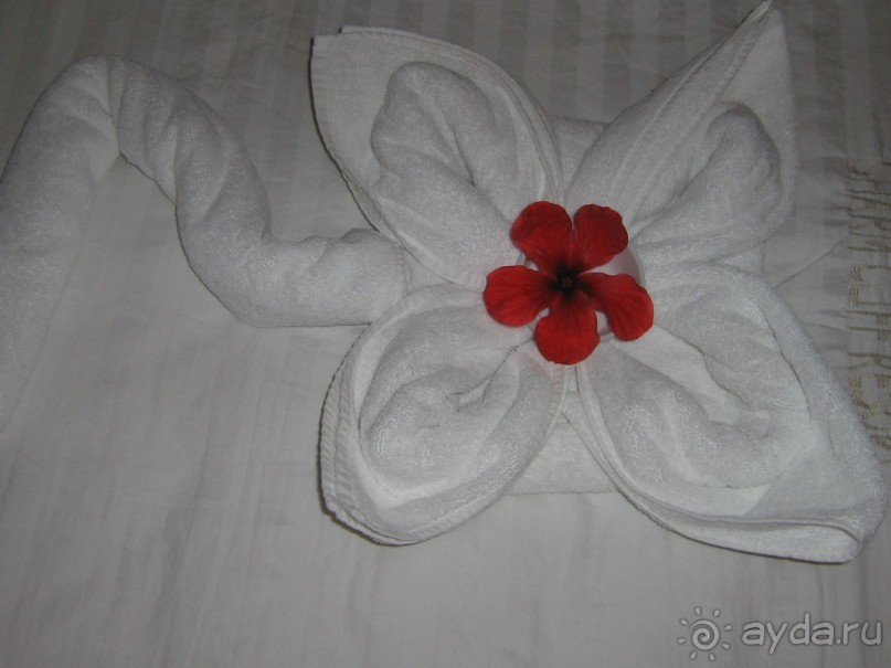 Замечательный отель для отдыха