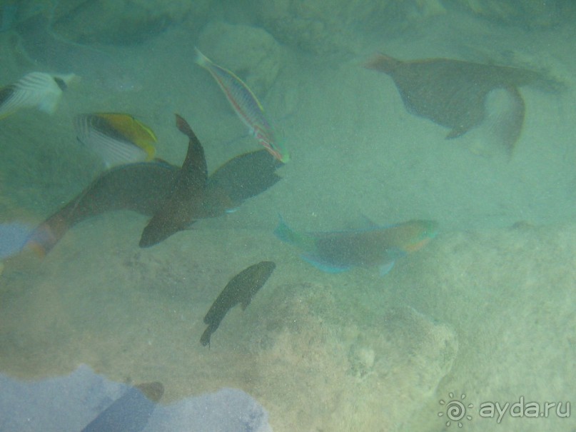 Замечательный отель для отдыха