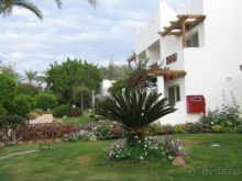 фото Mexicana Sharm Resort