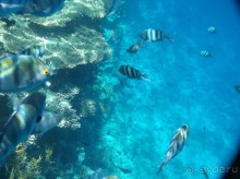 фото Mexicana Sharm Resort