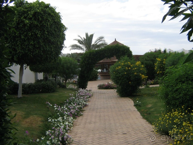 фото Mexicana Sharm Resort