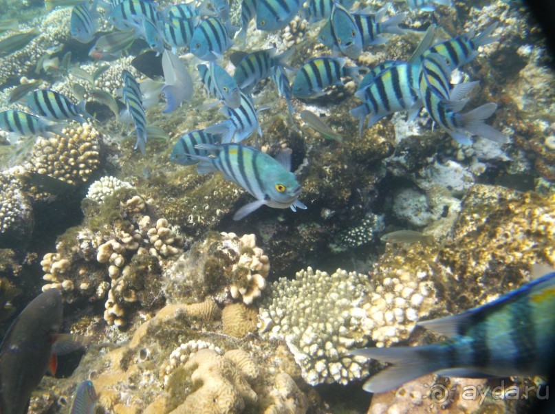 Внимательно читайте об отеле и все будет о,кей
