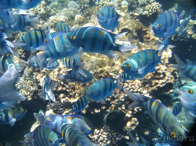 Внимательно читайте об отеле и все будет о,кей