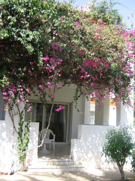 наш балкончик 