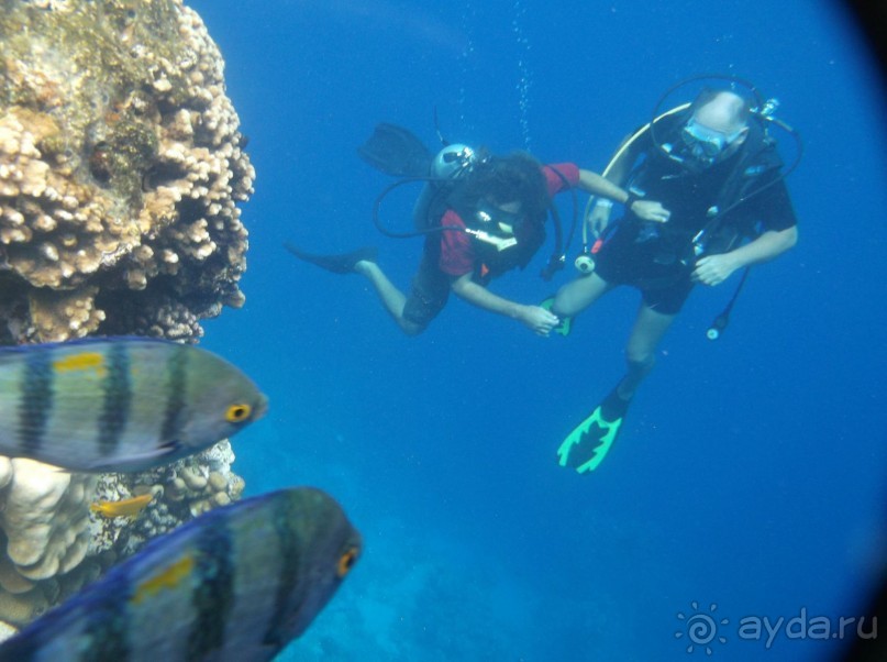 Внимательно читайте об отеле и все будет о,кей