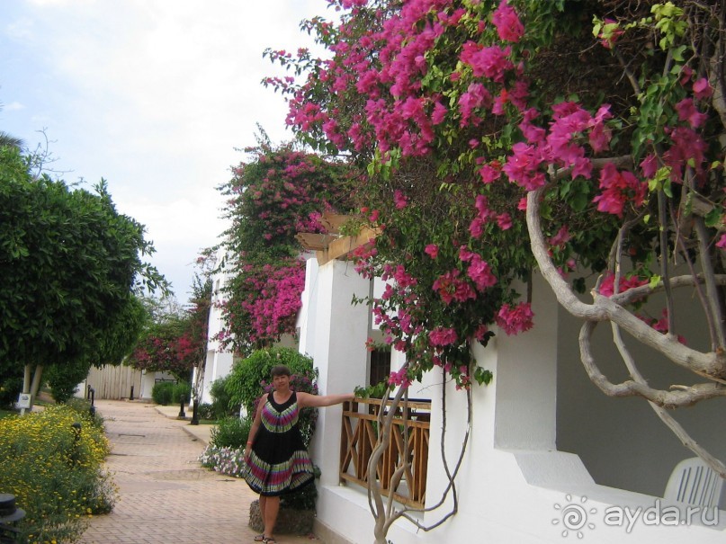 Внимательно читайте об отеле и все будет о,кей