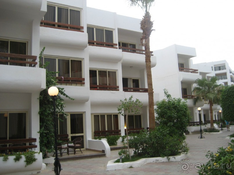 фото Marlin Inn Azur Resort 