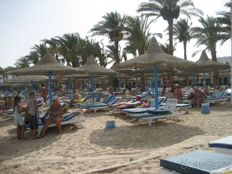 фото Marlin Inn Azur Resort 