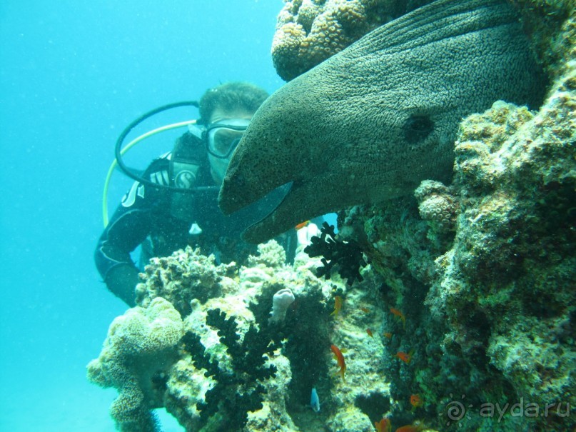 Отдых - 3 взрослых человека