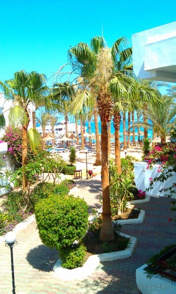 Отдых - 3 взрослых человека