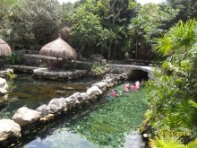  Мексика, Плайя-дель-Кармен.