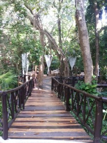  Мексика, Плайя-дель-Кармен.