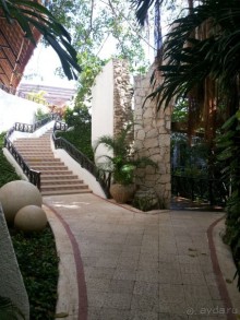  Мексика, Плайя-дель-Кармен.