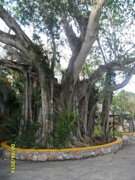  Мексика, Плайя-дель-Кармен.