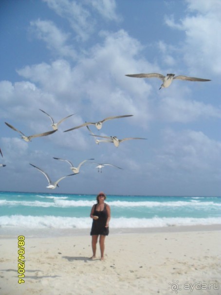  Мексика, Плайя-дель-Кармен.