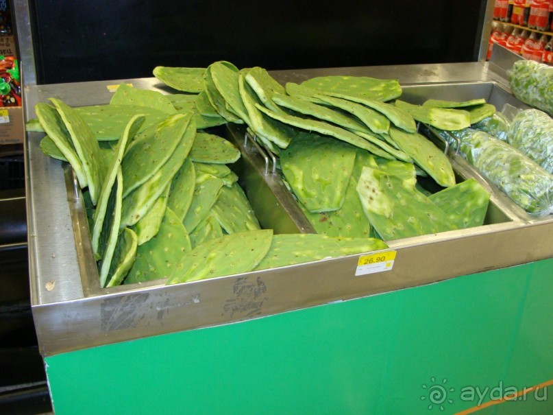  Мексика, Плайя-дель-Кармен.