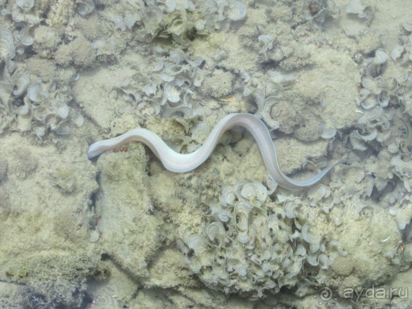 Стоит ехать!