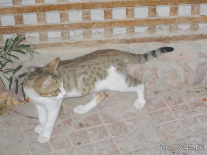 Стоит ехать!