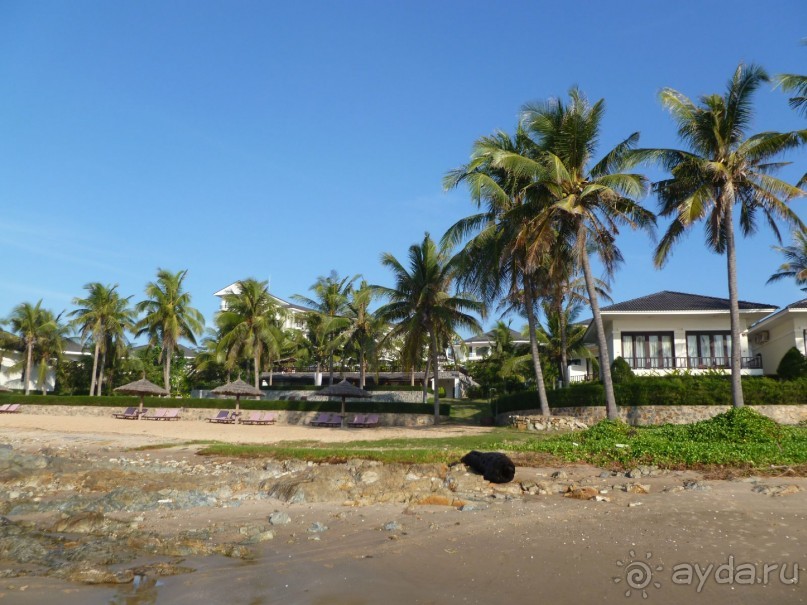 вид с пляжа