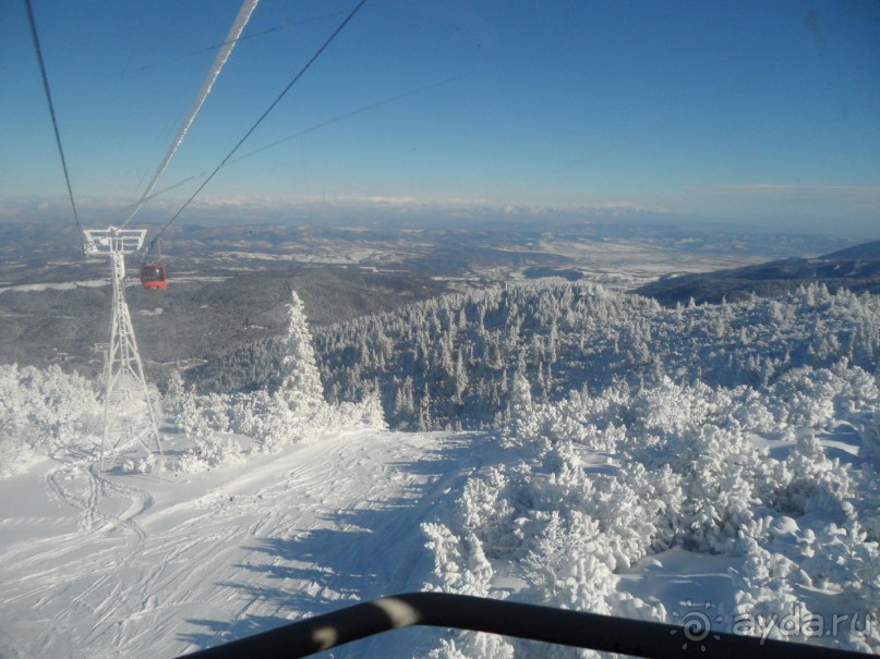 отель Ела Боровец