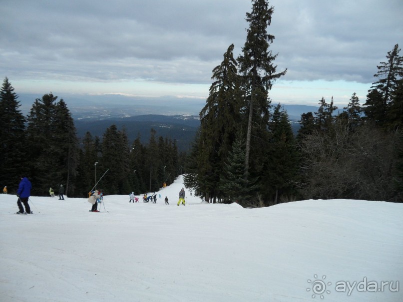 отель Ела Боровец