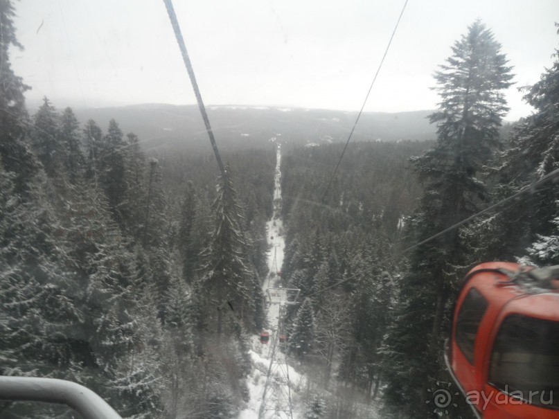 отель Ела Боровец