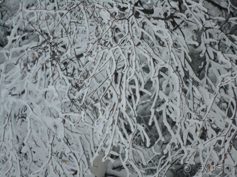 отель Ела Боровец