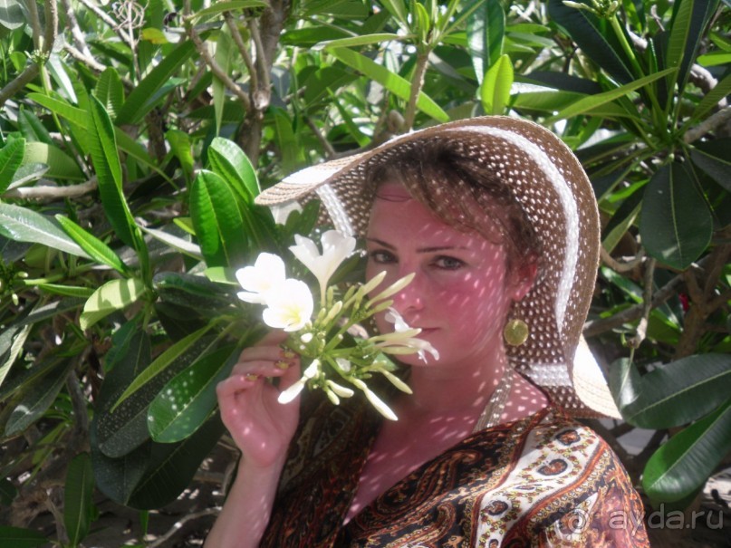 Если есть на земле Рай..., то это - Howard Johnson Dubai 4*