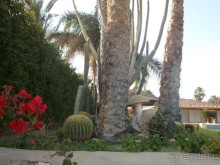 вполне приличный отель!