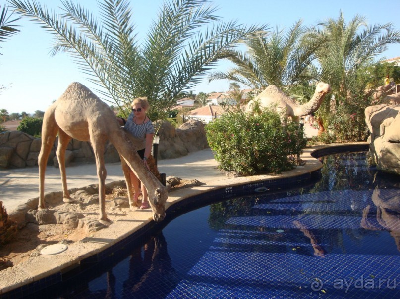 вполне приличный отель!