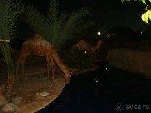 вполне приличный отель!