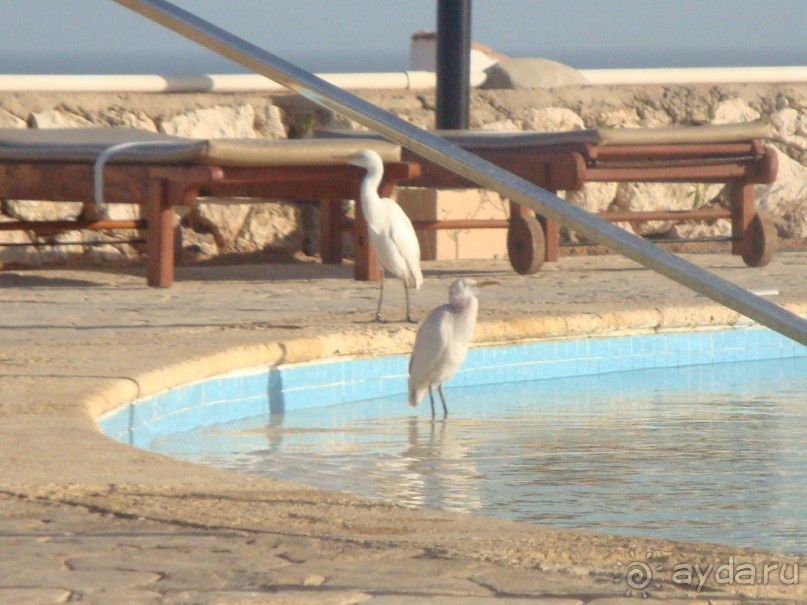 вполне приличный отель!
