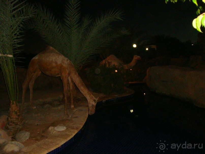 вполне приличный отель!