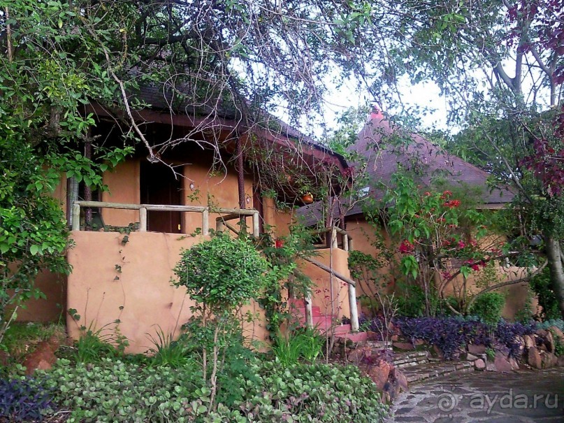 Незабываемое сафари в Кении