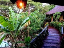 фото Masai Mara Sopa Lodge