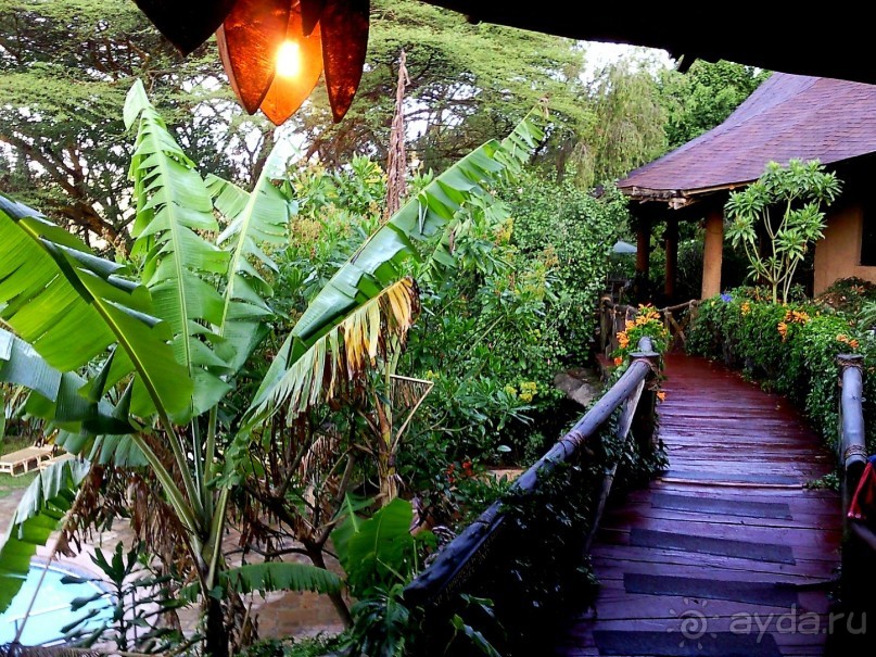 Самый красивый лодж!