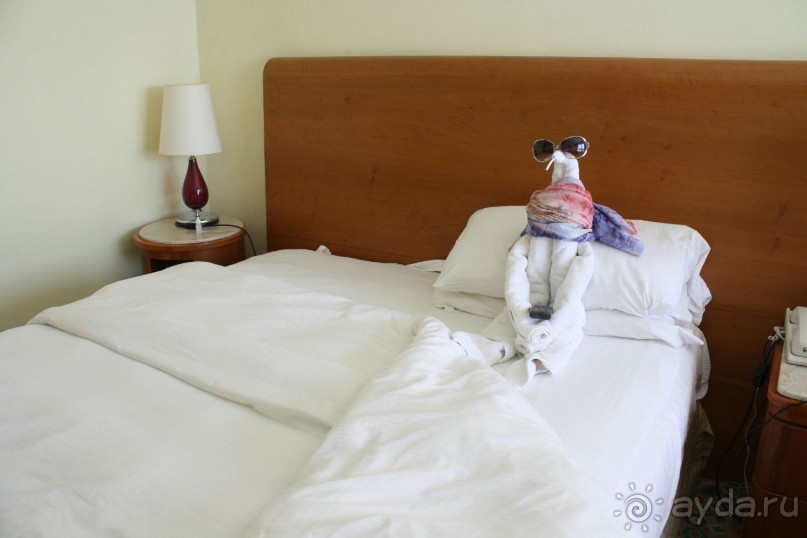 Вот такое чудо ждало нас в номере  после завтрака